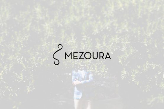 themestudio